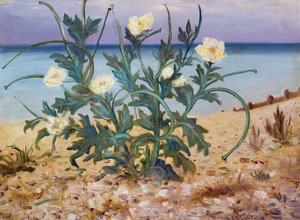 Zandduinen, Oostkust, 1944 door Christopher Richard Wynne Nevinson